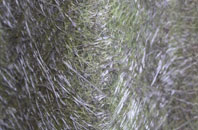 Barnetby Le Wold fibreglass roof work